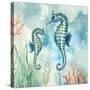Coral Bay Seahorses-null-Stretched Canvas