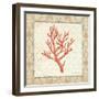 Coral Beauty Light II-Emily Adams-Framed Art Print