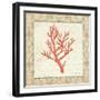 Coral Beauty Light II-Emily Adams-Framed Art Print