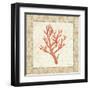 Coral Beauty Light II-Emily Adams-Framed Art Print