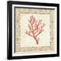 Coral Beauty Light II-Emily Adams-Framed Art Print