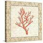 Coral Beauty Light II-Emily Adams-Stretched Canvas