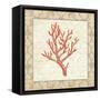 Coral Beauty Light II-Emily Adams-Framed Stretched Canvas