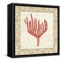 Coral Beauty Light IV-Emily Adams-Framed Stretched Canvas