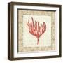 Coral Beauty Light IV-Emily Adams-Framed Art Print