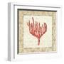 Coral Beauty Light IV-Emily Adams-Framed Art Print