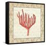 Coral Beauty Light IV-Emily Adams-Framed Stretched Canvas