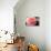 Coral Bloom-Anna Coppel-Stretched Canvas displayed on a wall