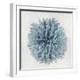 Coral Blue I-Caroline Kelly-Framed Art Print
