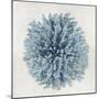 Coral Blue I-Caroline Kelly-Mounted Art Print