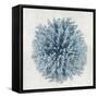 Coral Blue I-Caroline Kelly-Framed Stretched Canvas