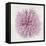 Coral Blush I-Caroline Kelly-Framed Stretched Canvas