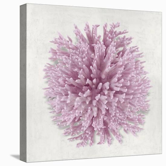 Coral Blush I-Caroline Kelly-Stretched Canvas