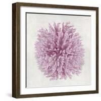 Coral Blush I-Caroline Kelly-Framed Art Print