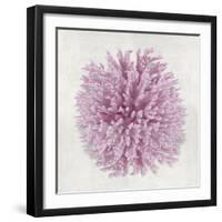 Coral Blush I-Caroline Kelly-Framed Art Print