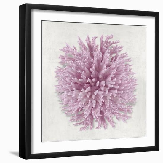 Coral Blush I-Caroline Kelly-Framed Art Print