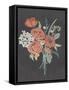 Coral Bouquet II-Chariklia Zarris-Framed Stretched Canvas