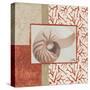 Coral Branch I-Elizabeth Medley-Stretched Canvas