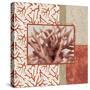 Coral Branch II-Elizabeth Medley-Stretched Canvas