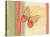 Coral Butterfly-Robbin Rawlings-Stretched Canvas