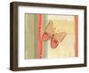 Coral Butterfly-Robbin Rawlings-Framed Art Print