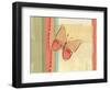 Coral Butterfly-Robbin Rawlings-Framed Art Print