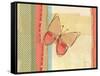 Coral Butterfly-Robbin Rawlings-Framed Stretched Canvas