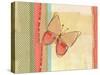 Coral Butterfly-Robbin Rawlings-Stretched Canvas