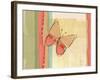 Coral Butterfly-Robbin Rawlings-Framed Art Print