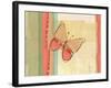 Coral Butterfly-Robbin Rawlings-Framed Art Print