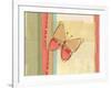 Coral Butterfly-Robbin Rawlings-Framed Art Print