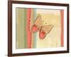 Coral Butterfly-Robbin Rawlings-Framed Art Print