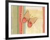 Coral Butterfly-Robbin Rawlings-Framed Art Print