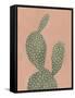 Coral Cacti I-null-Framed Stretched Canvas