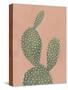 Coral Cacti I-null-Stretched Canvas