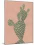 Coral Cacti II-null-Mounted Art Print