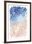 Coral Cascade II-Grace Popp-Framed Art Print