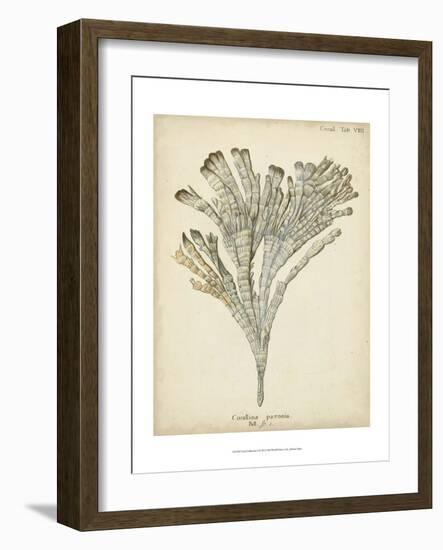 Coral Collection I-Johann Esper-Framed Art Print