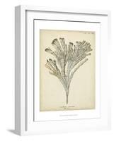 Coral Collection I-Johann Esper-Framed Art Print