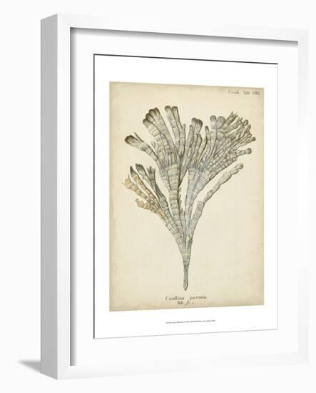 Coral Collection I-Johann Esper-Framed Art Print