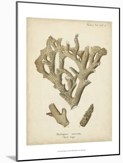 Coral Collection IV-Johann Esper-Mounted Art Print
