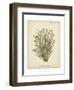 Coral Collection IX-Johann Esper-Framed Art Print