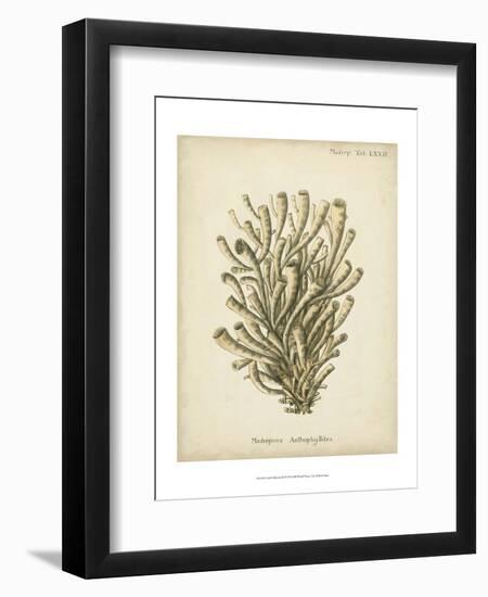 Coral Collection IX-Johann Esper-Framed Art Print