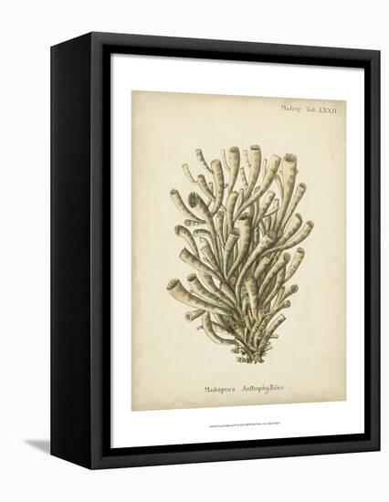 Coral Collection IX-Johann Esper-Framed Stretched Canvas