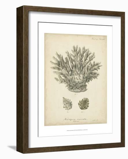 Coral Collection VII-Johann Esper-Framed Art Print