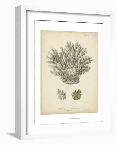 Coral Collection VII-Johann Esper-Framed Art Print