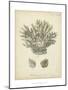 Coral Collection VII-Johann Esper-Mounted Art Print