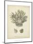 Coral Collection VII-Johann Esper-Mounted Art Print