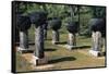 Coral Columns, Guam, Micronesia-null-Framed Stretched Canvas