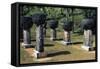 Coral Columns, Guam, Micronesia-null-Framed Stretched Canvas